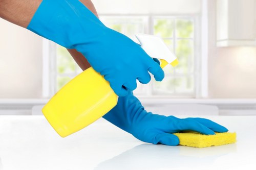 Complaint details being reviewed by a carpet cleaning team