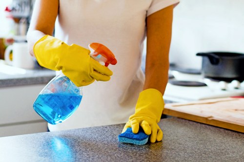 Regular home cleaning service for Ruislip properties