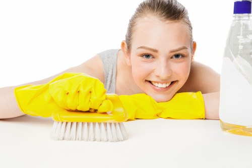 Technician using professional carpet cleaning tools during a safe service