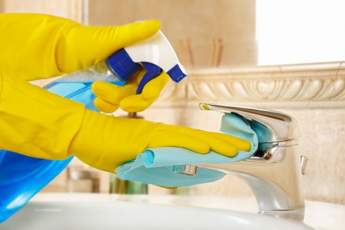Professional window cleaning in Ruislip for bright home exteriors