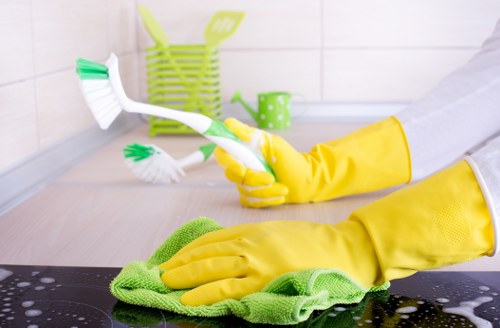 Bathroom deep cleaning as part of domestic cleaning in Ruislip