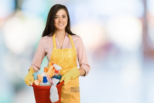 Domestic cleaning tools and organized cleaning supplies for a Ruislip home