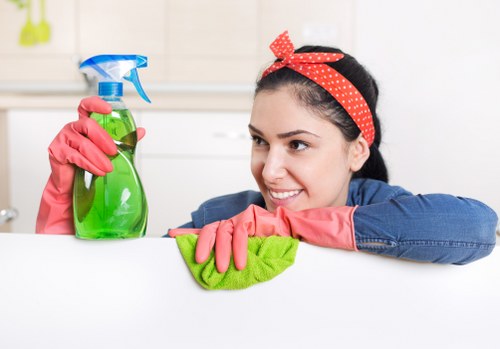 Carpet care service terms, customer responsibilities and safety compliance